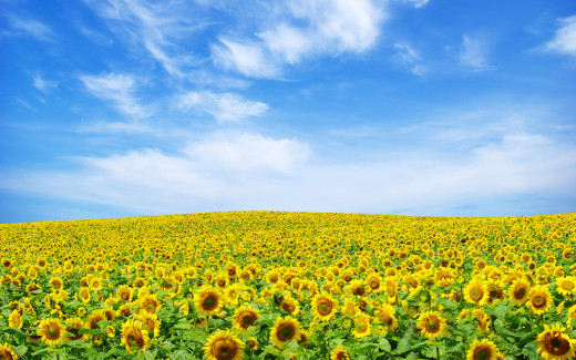 495465 (a): :1920x1200